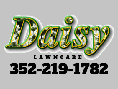 Daisy Lawncare