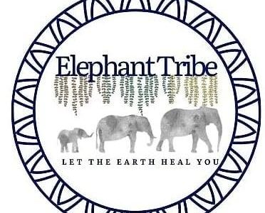 Elephant Tribe